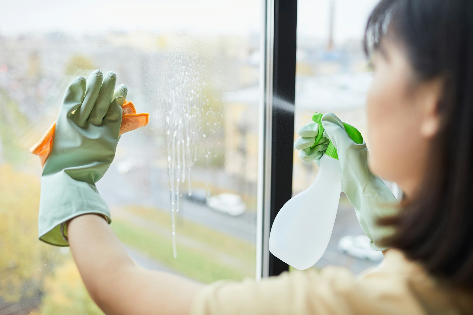 Woman Cleaning Windows